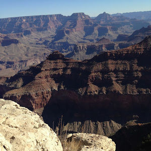 Meet your Posher, Garden